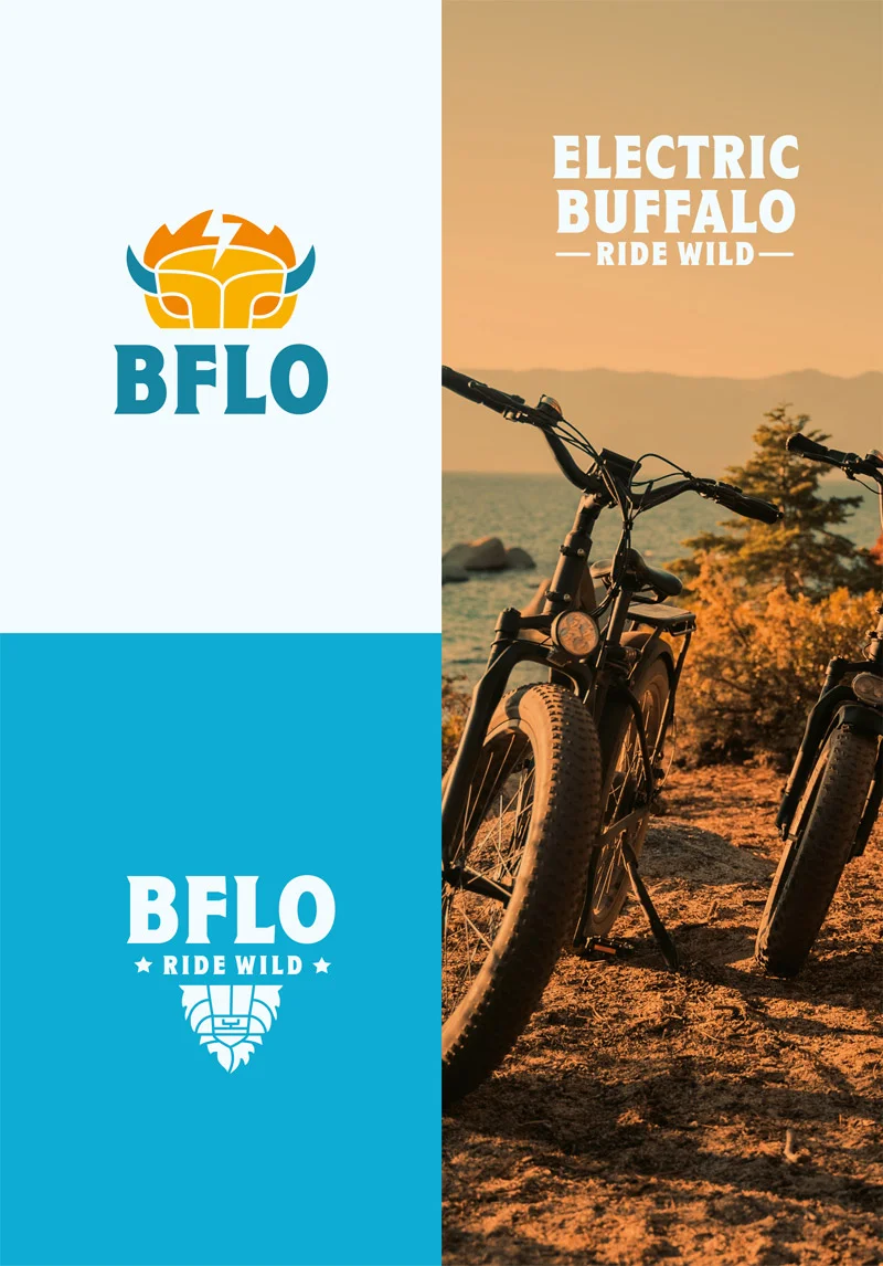 Showcasing the branding and geometric logo design created for Electric Buffalo